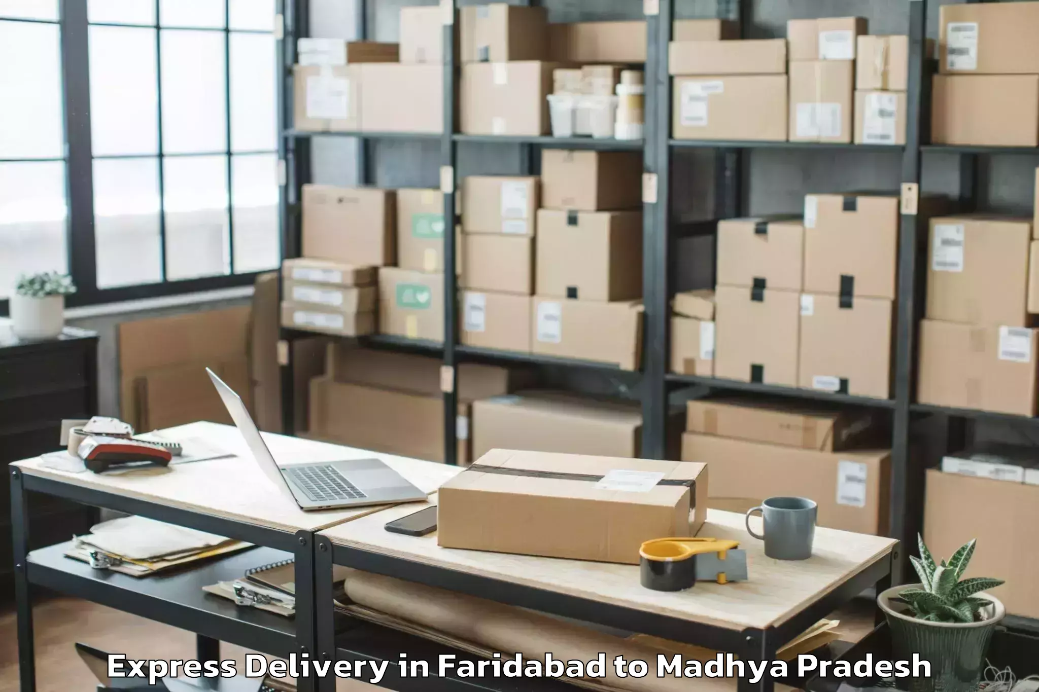 Book Faridabad to Nasrullahganj Express Delivery Online